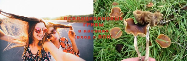 кокс Алексеевка
