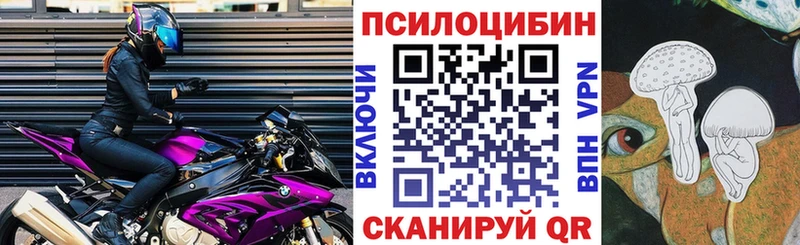 Псилоцибиновые грибы Psilocybine cubensis  магазин продажи   Нея 